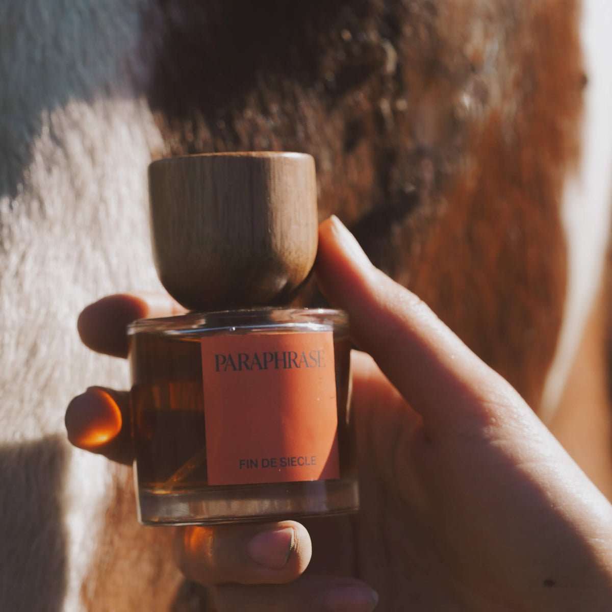 FIN DE SIECLE | DIRTY, WILD ROSE