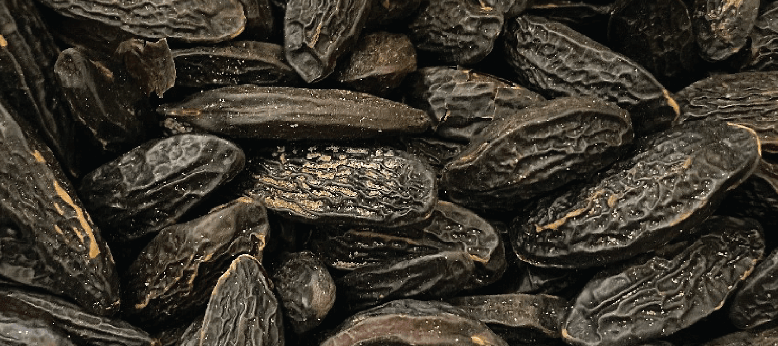Material Expressions: Tonka Bean