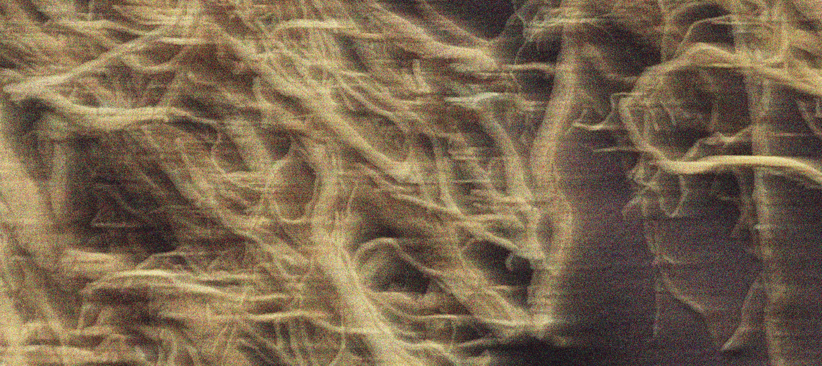 Material Expressions: Vetiver