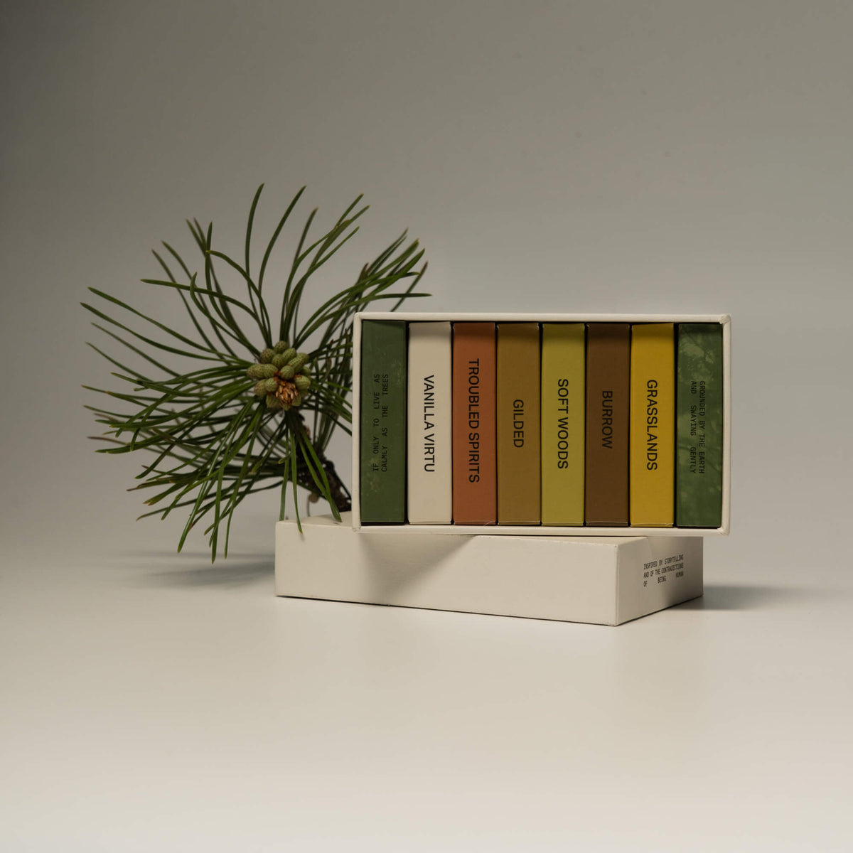 Hidden Woods Discovery Set | Woody & Earthy